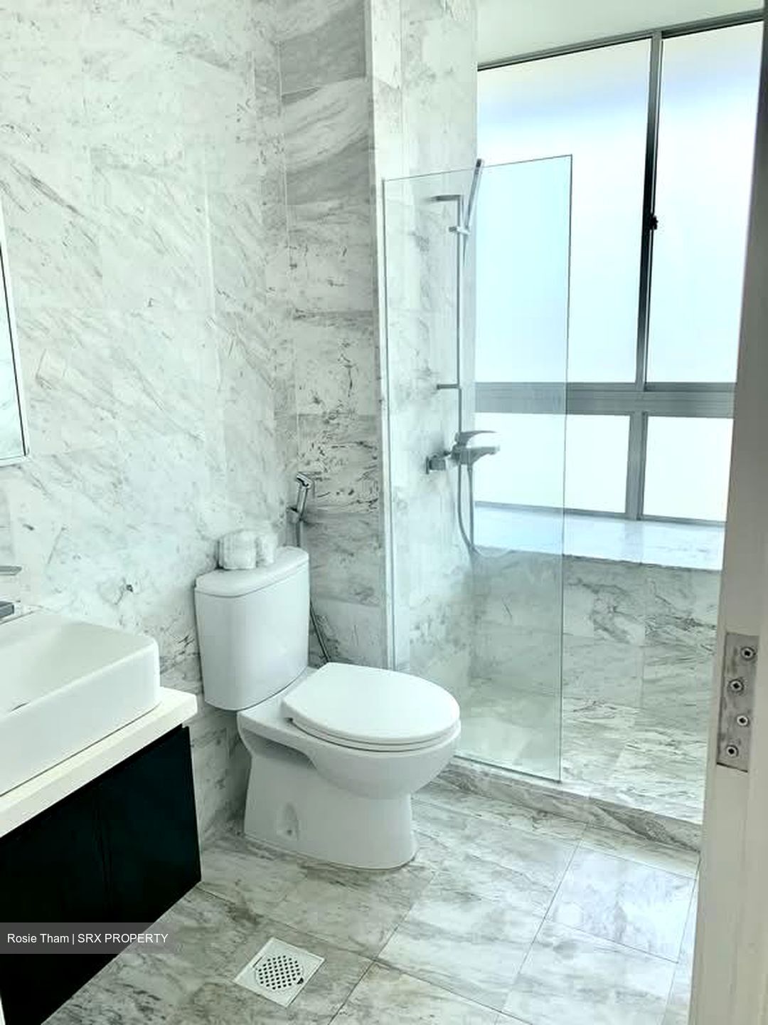 Zenith (D10), Apartment #586776971
